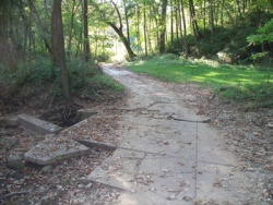 Storm ravaged sidewalk present in Union Park in 2009. Photo courtesy: Tyler Cooksley