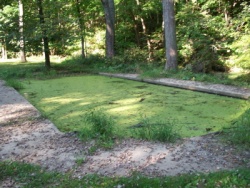 Children's wading pool (2009).Photo courtesy: Tyler Cooksley
