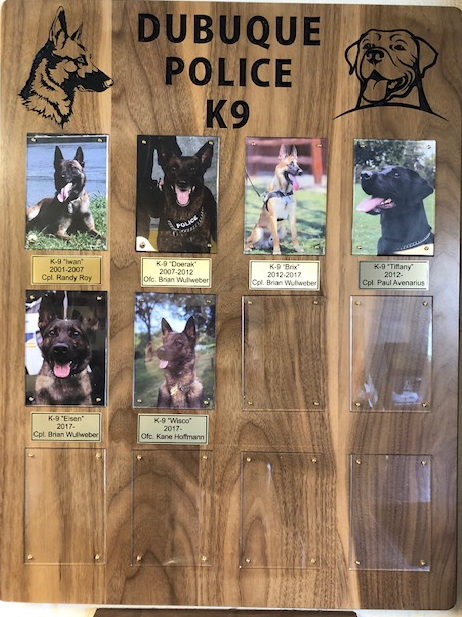 K9.png