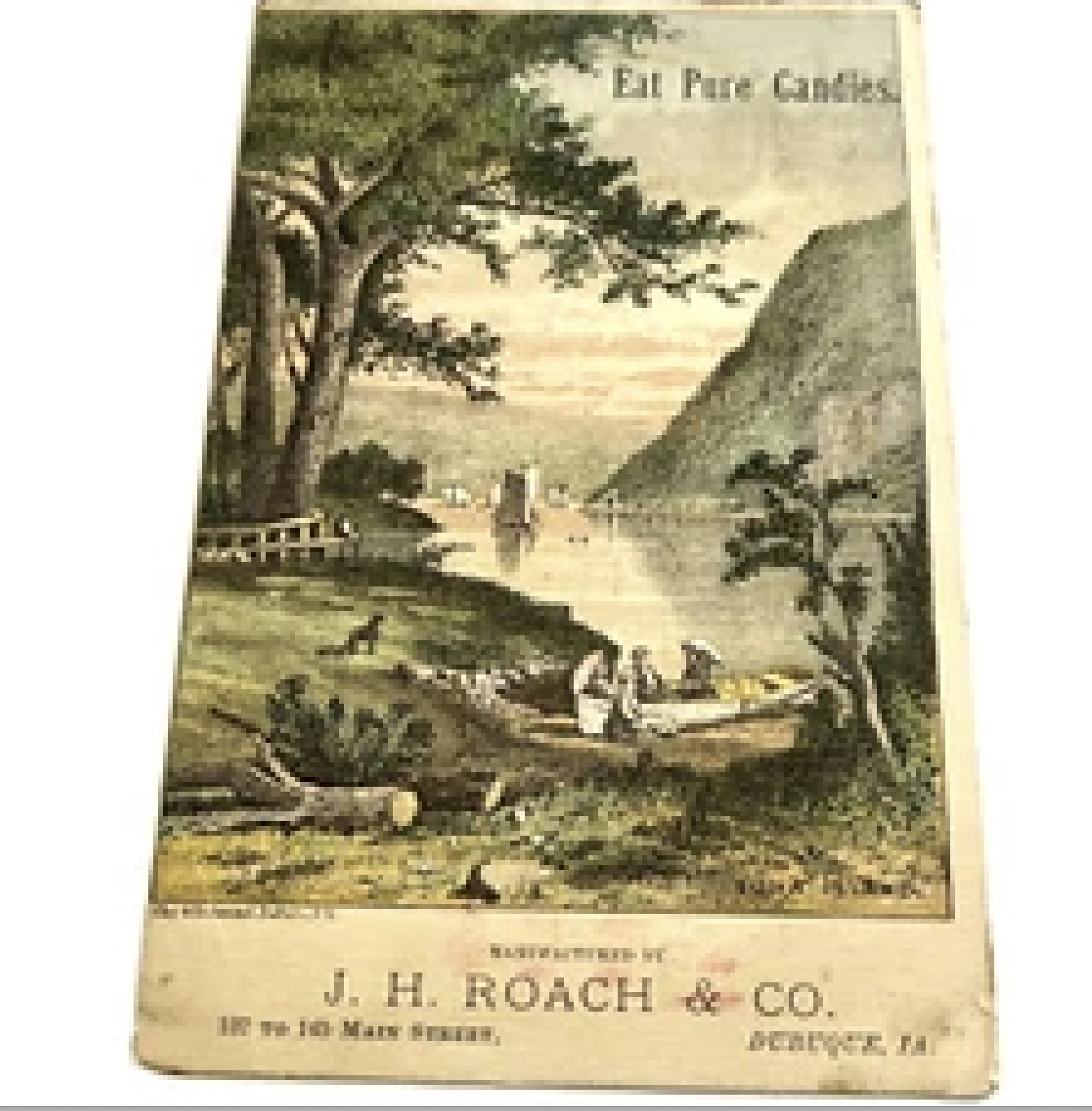 ROACH3.png