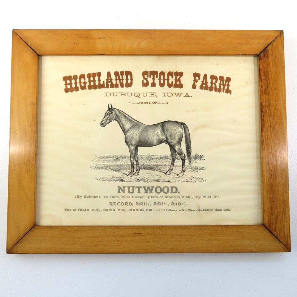 Nutwood6.jpg
