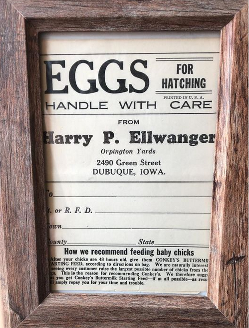 Thumbnail for version as of 03:44, 13 May 2021