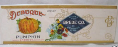 Brede-2.png