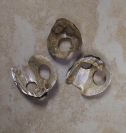 BUTTON INDUSTRY - Encyclopedia Dubuque